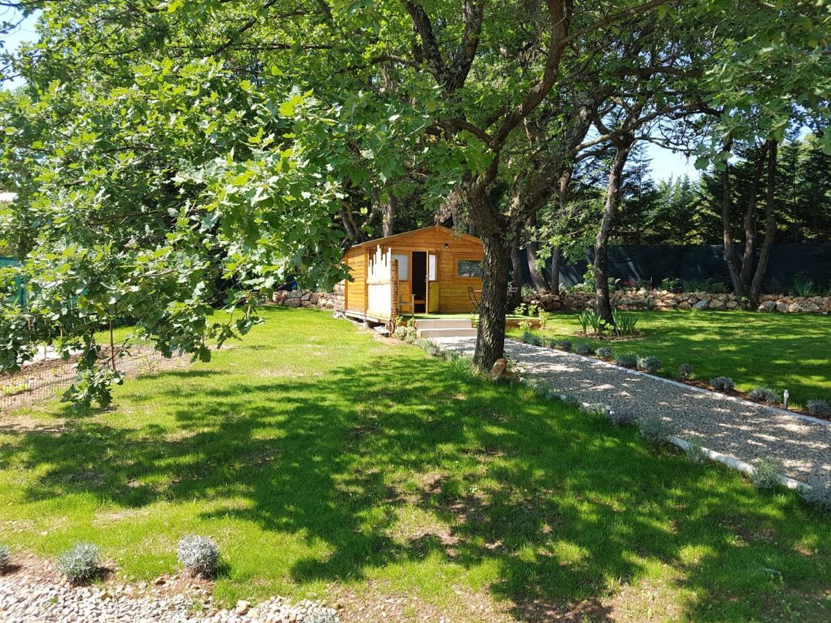 Les Lezards 2 Au Soleil Draguignan Bed & Breakfast Exterior photo